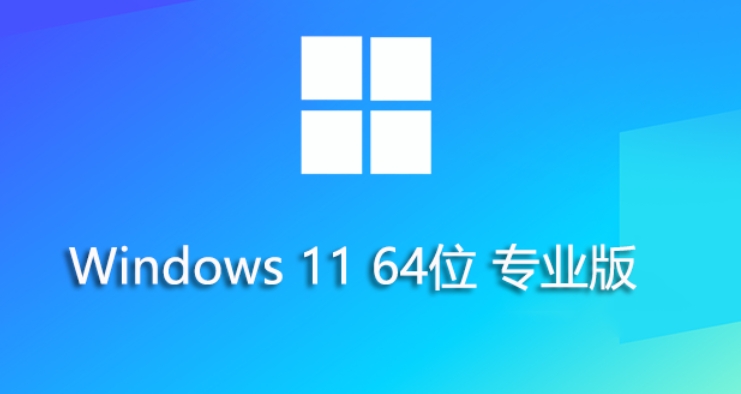 Win11 23H2 64位专业精简版怎么安装