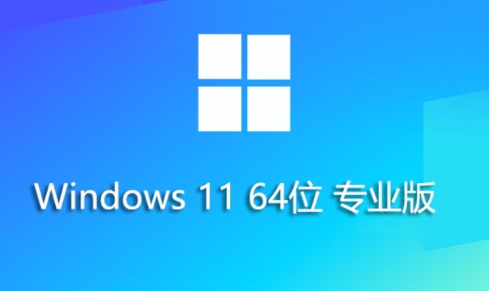 Windows 11 64位 专业优化版怎么安装