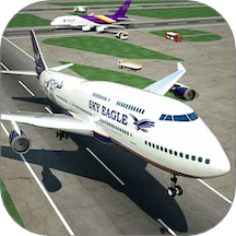 真实飞行模拟器 